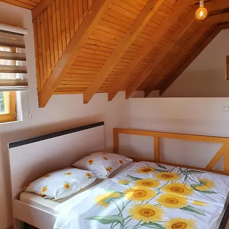 Pan Koran Vikendica Pale, Jahorina Holiday home