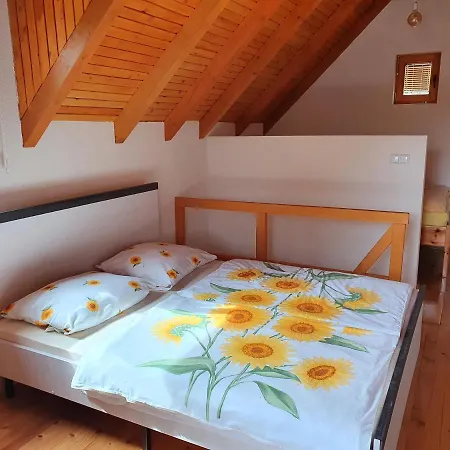 Pan Koran Vikendica Pale, Jahorina Holiday home
